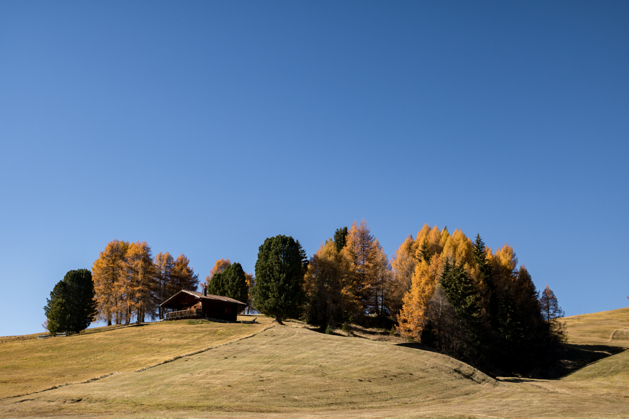 Canon EOS 760D (EOS Rebel T6s / EOS 8000D) sample photo. Autumn in val gardena 2 photography