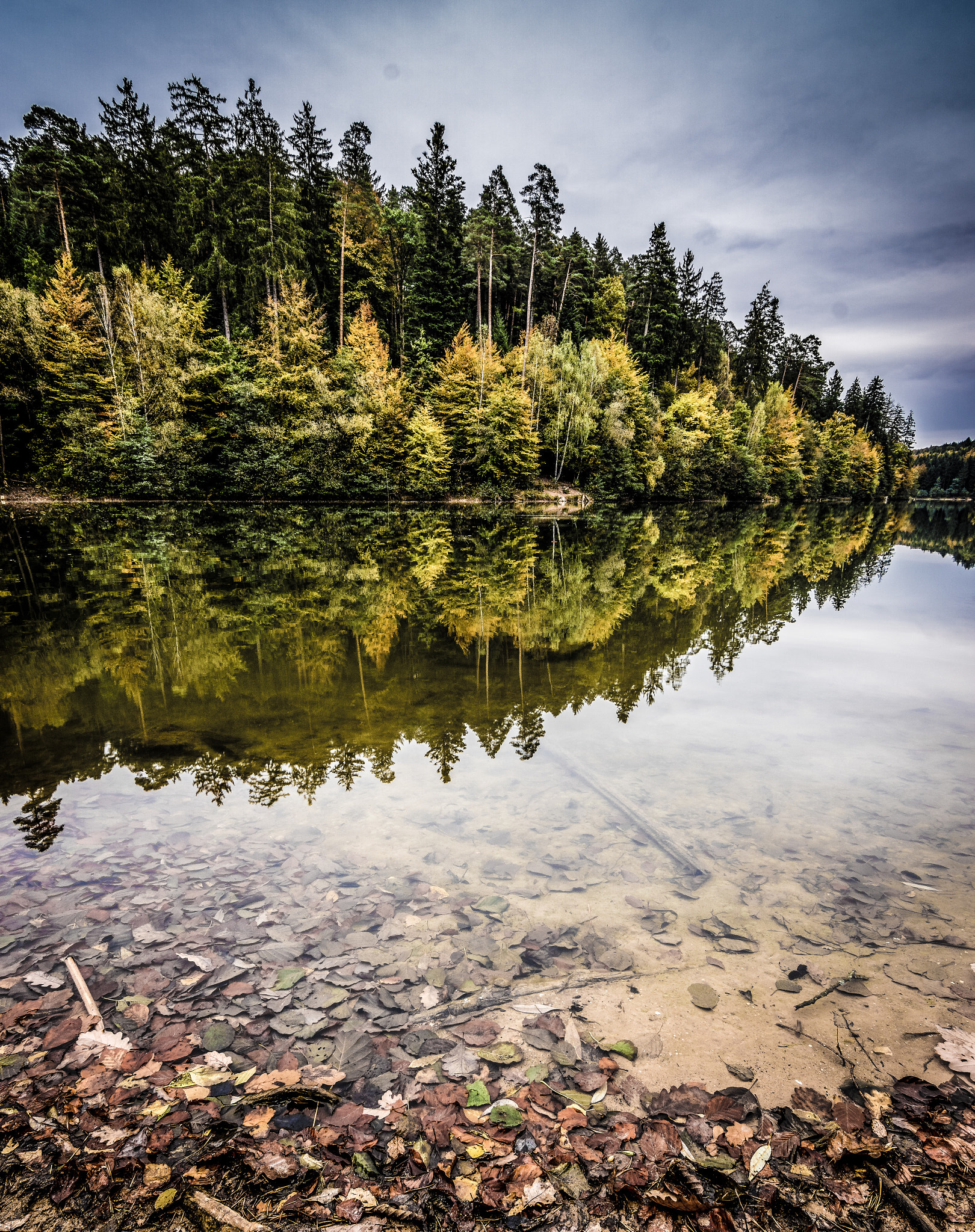 Sony ILCA-77M2 + 20mm F2.8 sample photo. Nice day in fall. photography