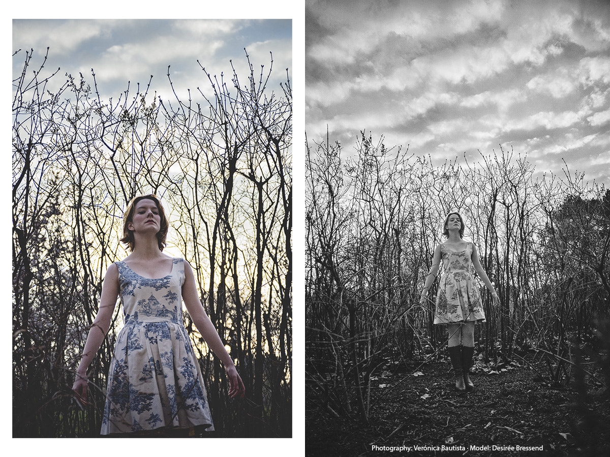 AF Zoom-Nikkor 28-105mm f/3.5-4.5D IF sample photo. My little stranger thing photography