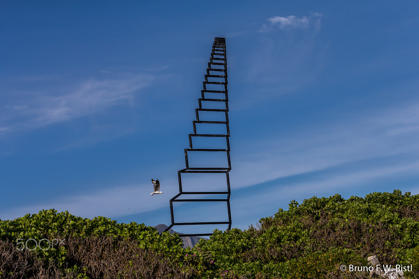 Canon EOS-1D X + Canon EF 28-300mm F3.5-5.6L IS USM sample photo. Stairway to heaven photography