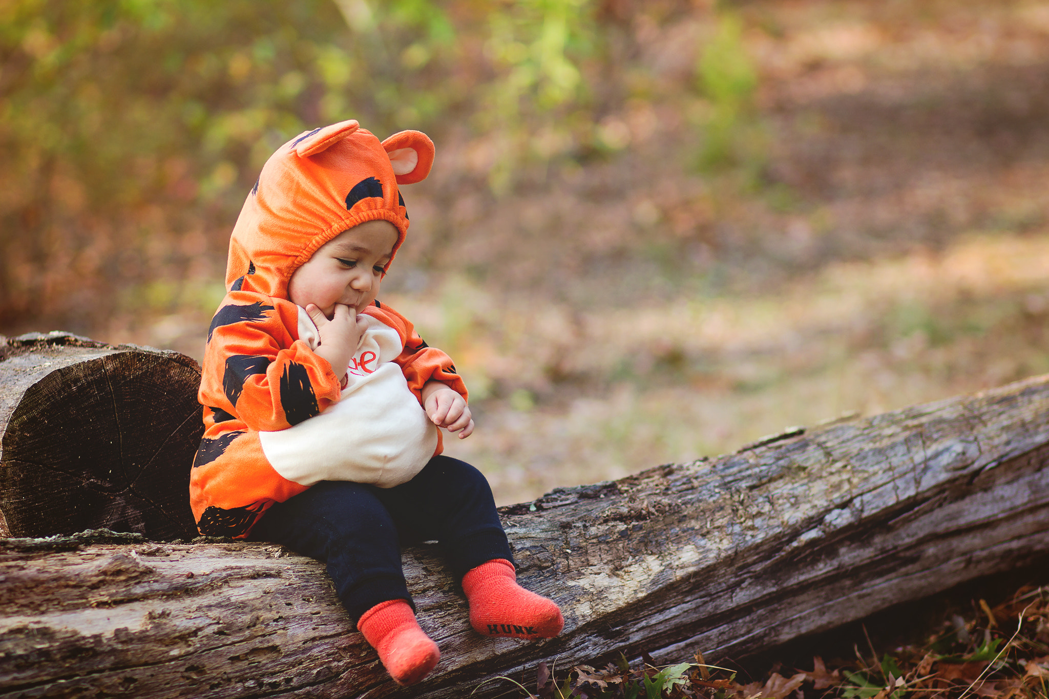 Canon EOS 100D (EOS Rebel SL1 / EOS Kiss X7) sample photo. Halloween 2016 tigger photography