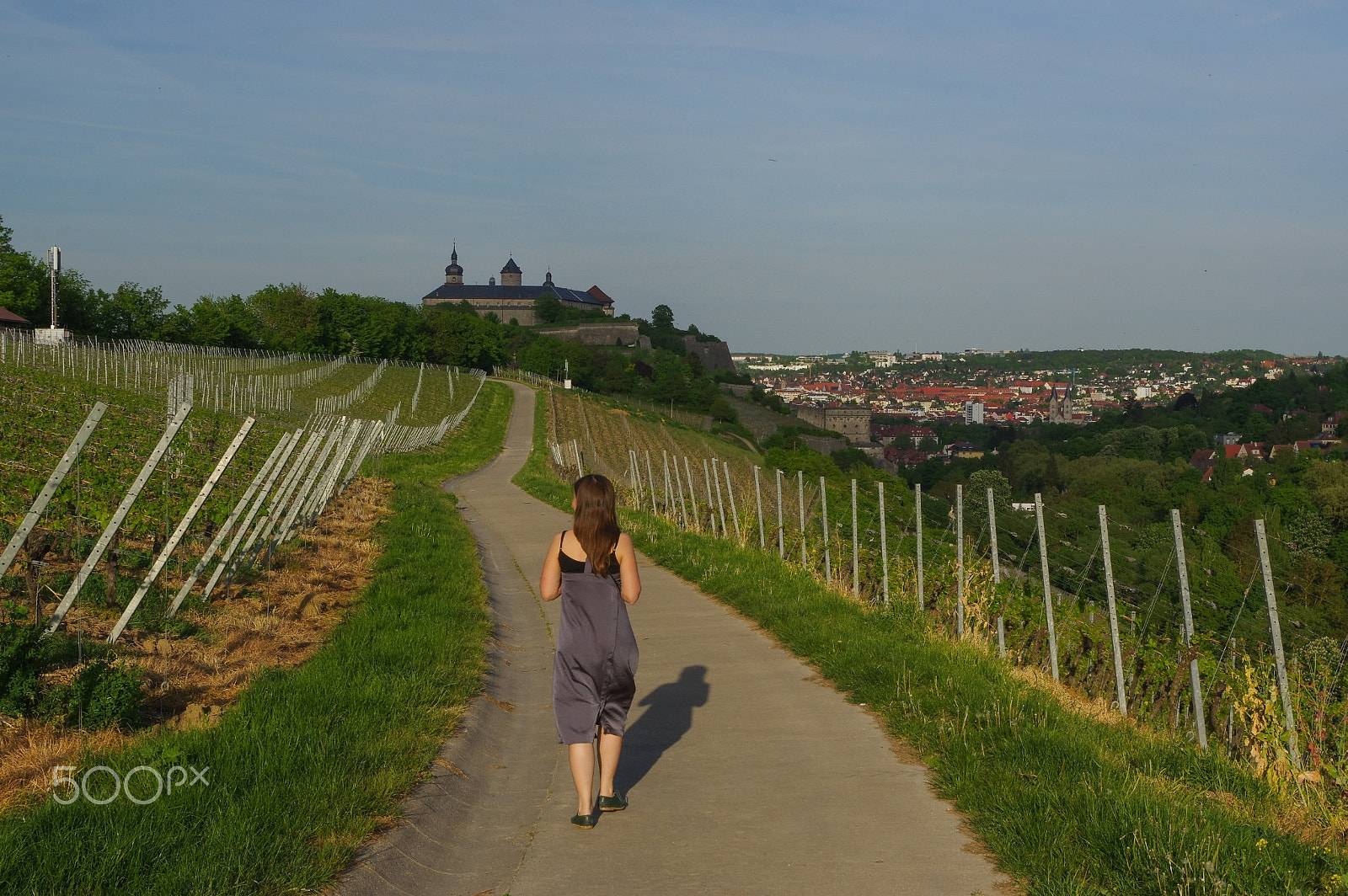 Pentax K-3 sample photo. Woman walking on a road with vineyard landscape view to the castle marienberg in wuerzburg... photography