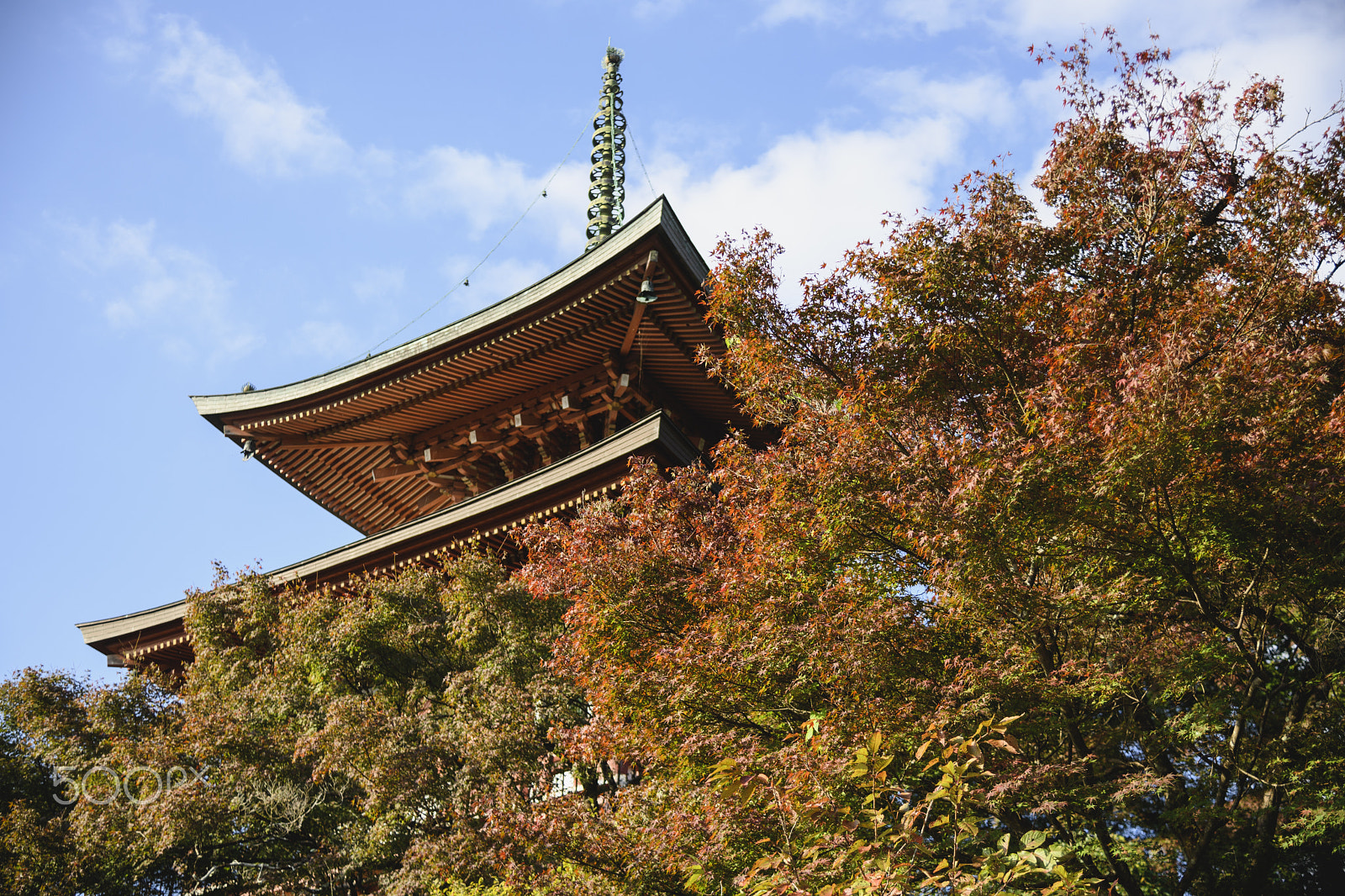 Nikon D5 sample photo. Sammyo-in temple photography