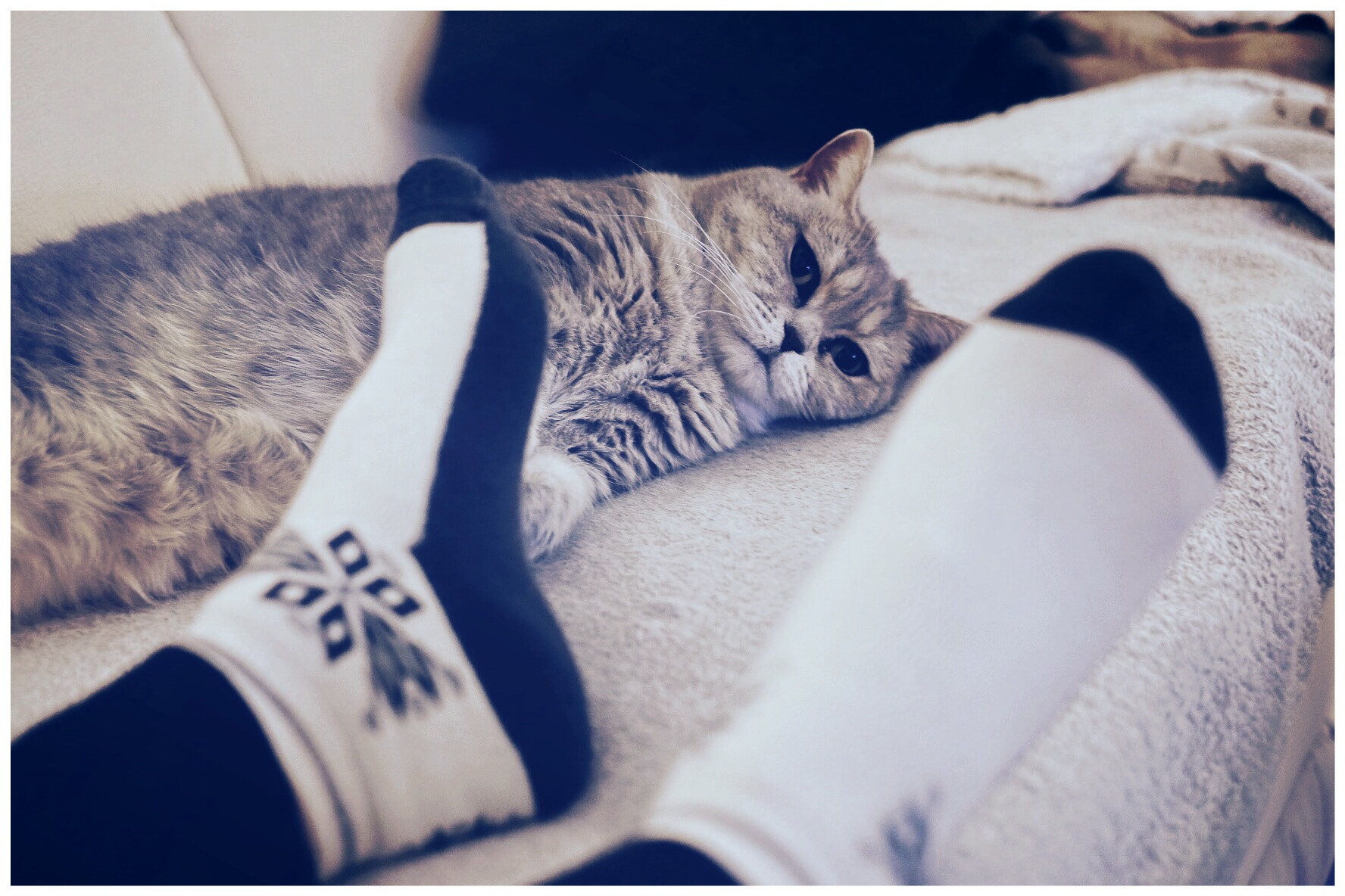 v2?sig=d4566b580f339feaae5855cb5253f93f2