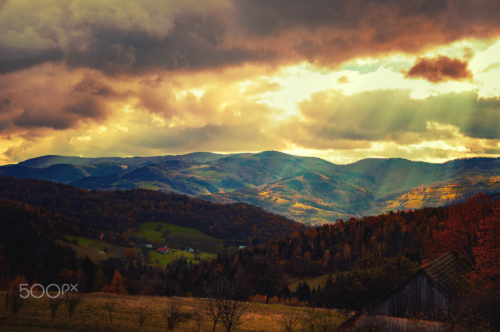 Nikon D700 + Sigma 50mm F1.4 EX DG HSM sample photo. [] photography