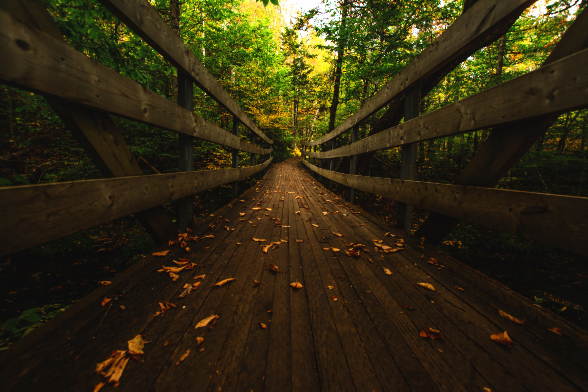 Nikon D5200 + Sigma 10-20mm F3.5 EX DC HSM sample photo. Crossing the river photography