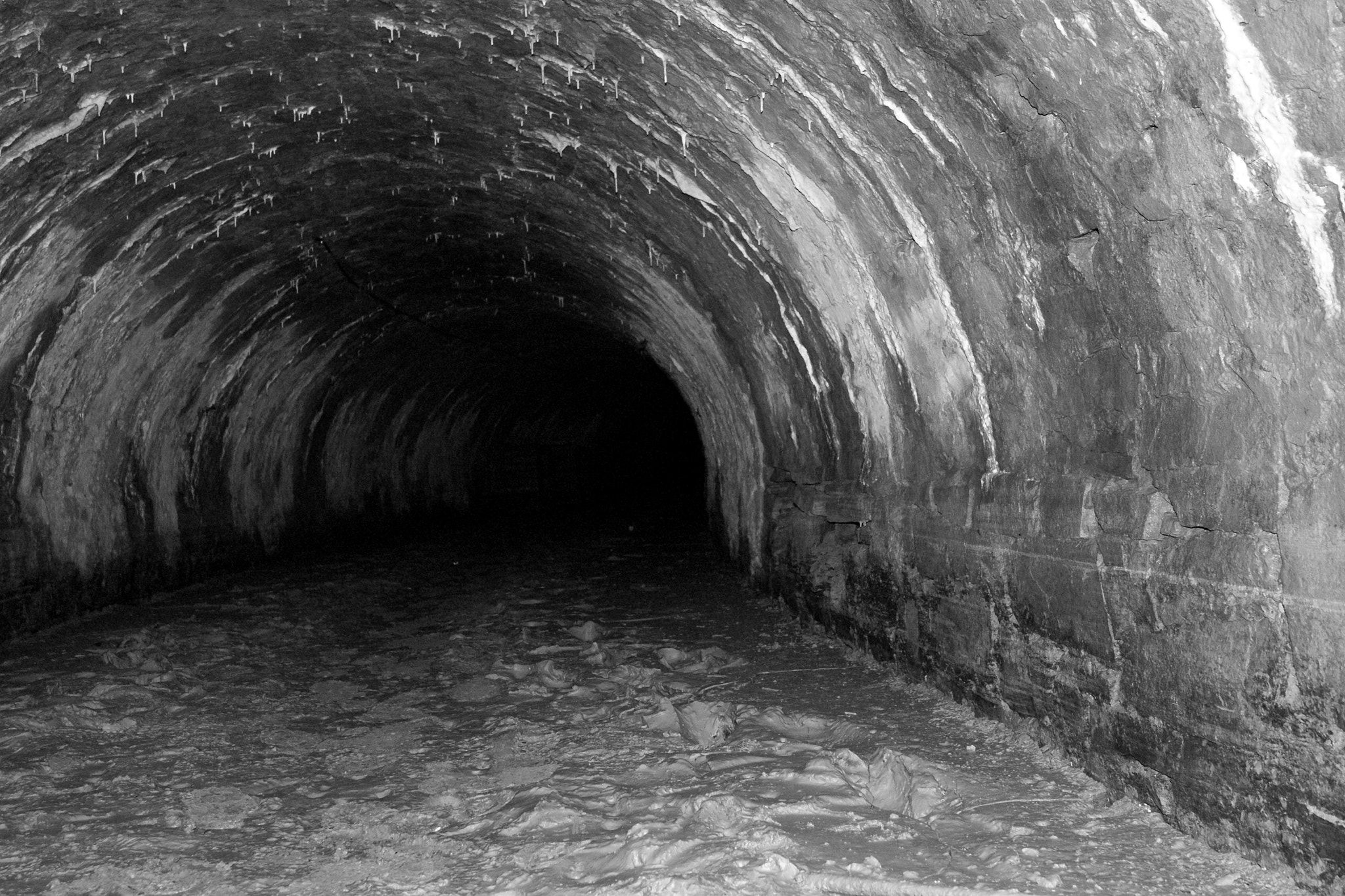 Sony DT 18-55mm F3.5-5.6 SAM II sample photo. Follow the voice of the darkness... step 5 photography