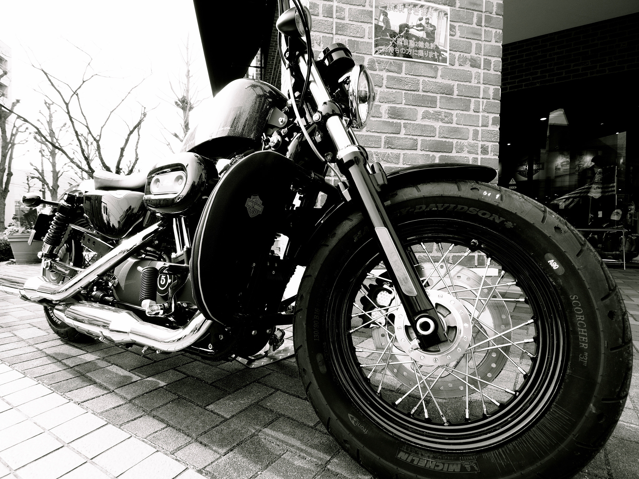 Olympus OM-D E-M5 sample photo. Harley-davidson motorcycle photography