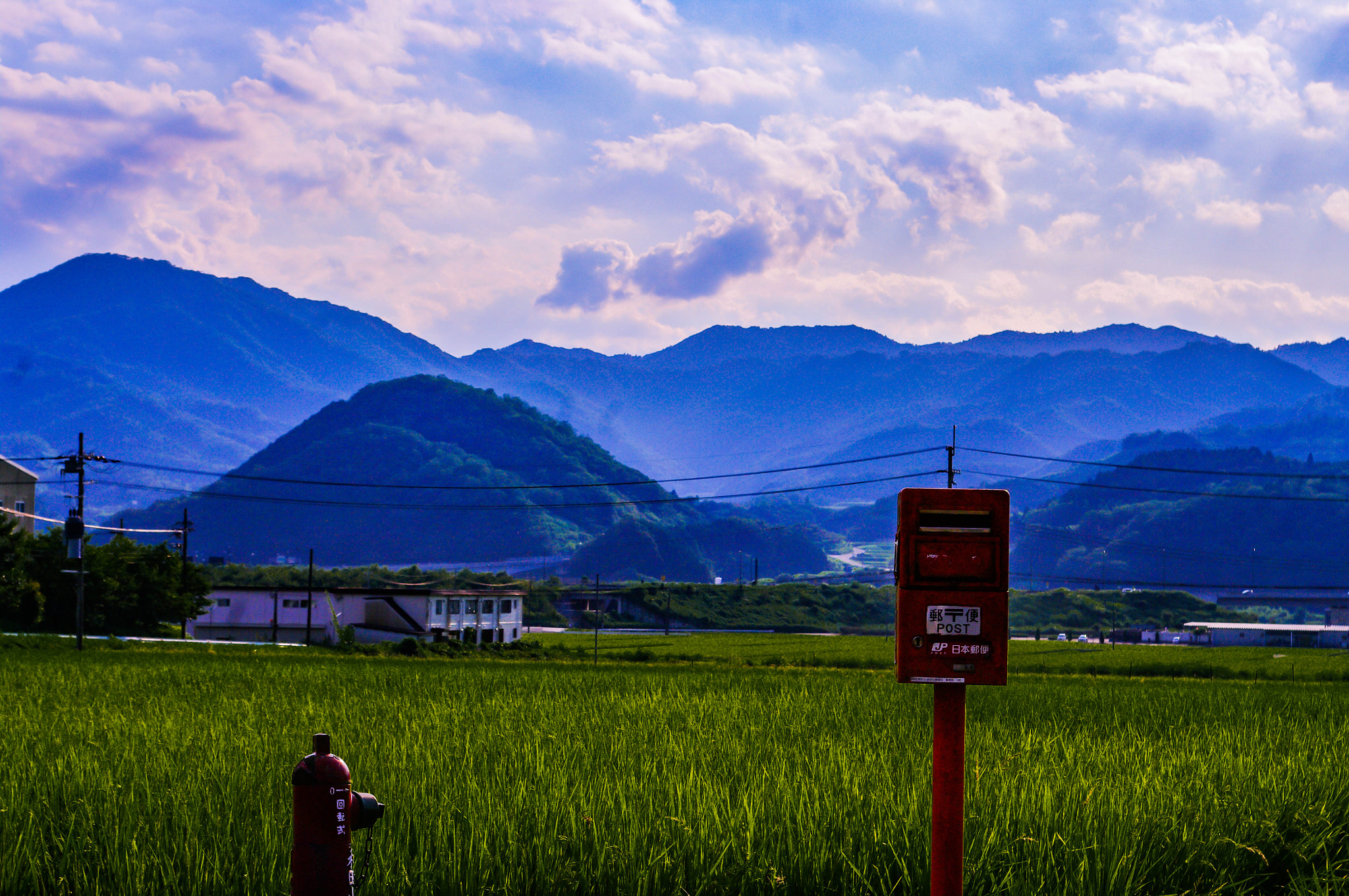 Pentax K20D sample photo