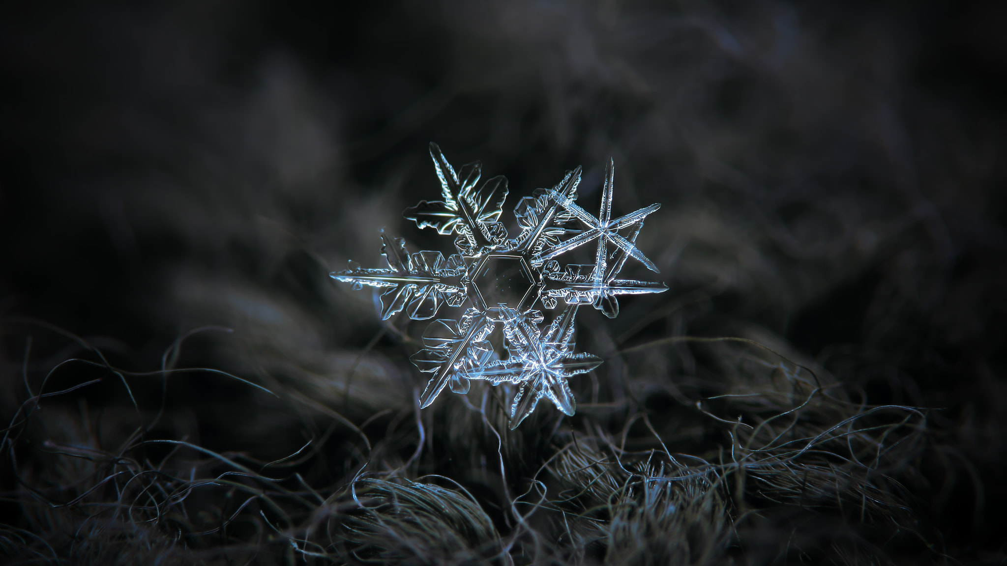 Canon POWERSHOT A650 IS sample photo. Cluster of three snowflakes on dark background photography