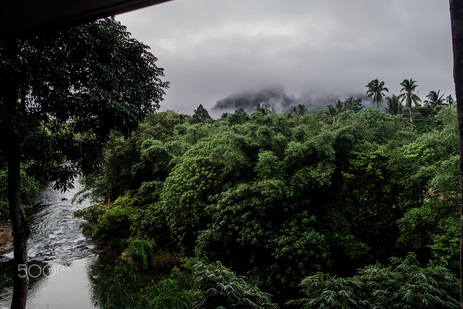 Canon EF 24mm F1.4L II USM sample photo. Foggy mornings photography