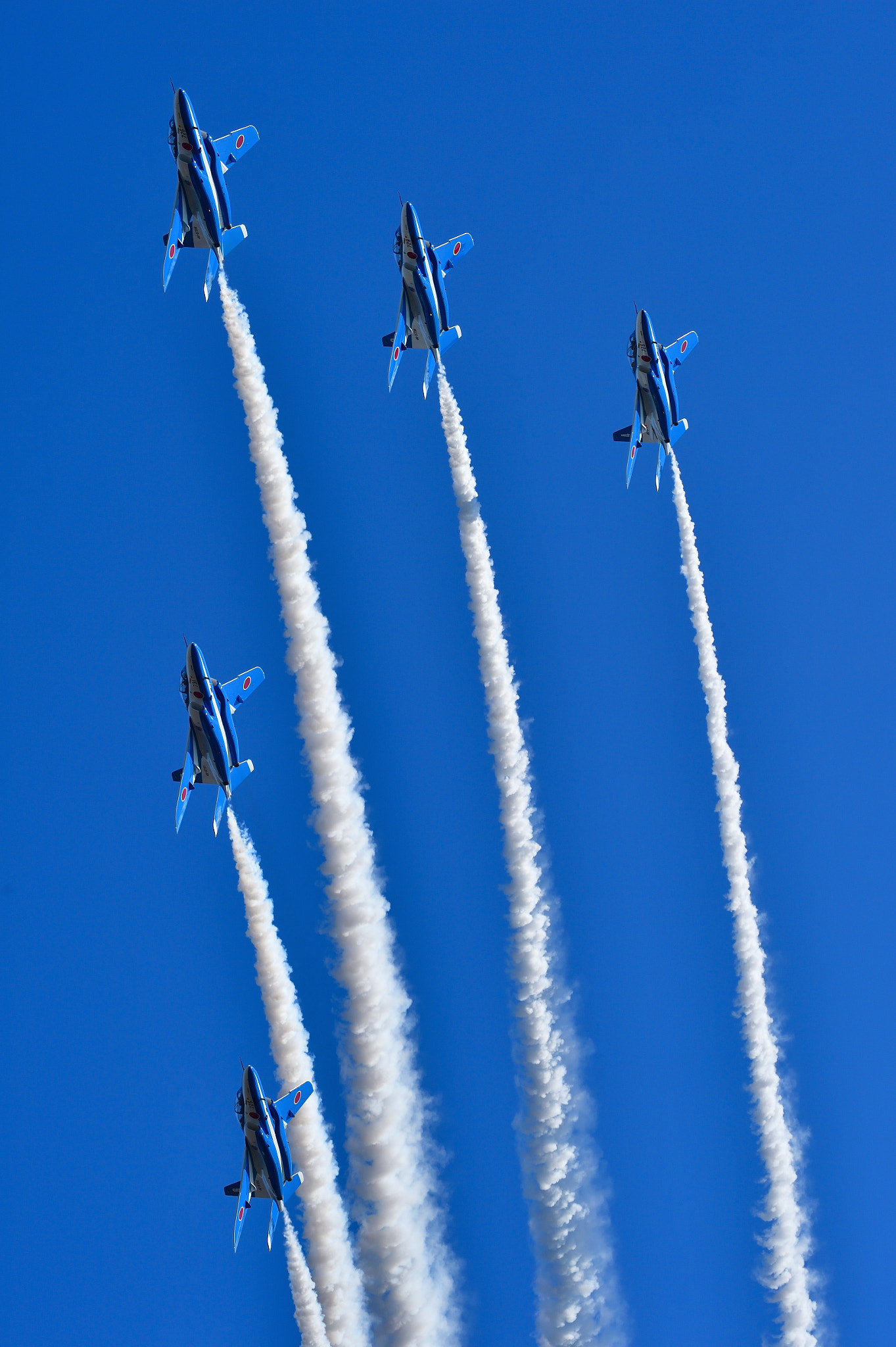 Nikon AF-S Nikkor 200-500mm F5.6E ED VR sample photo. Blue impulse photography