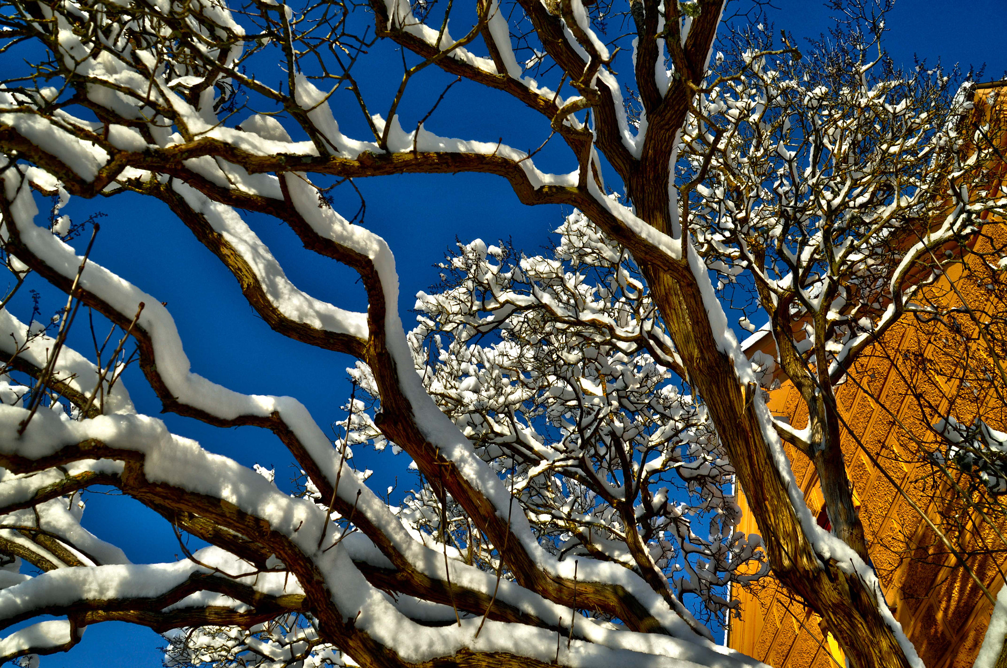 Nikon D5000 sample photo. Amazing photos dsc photography