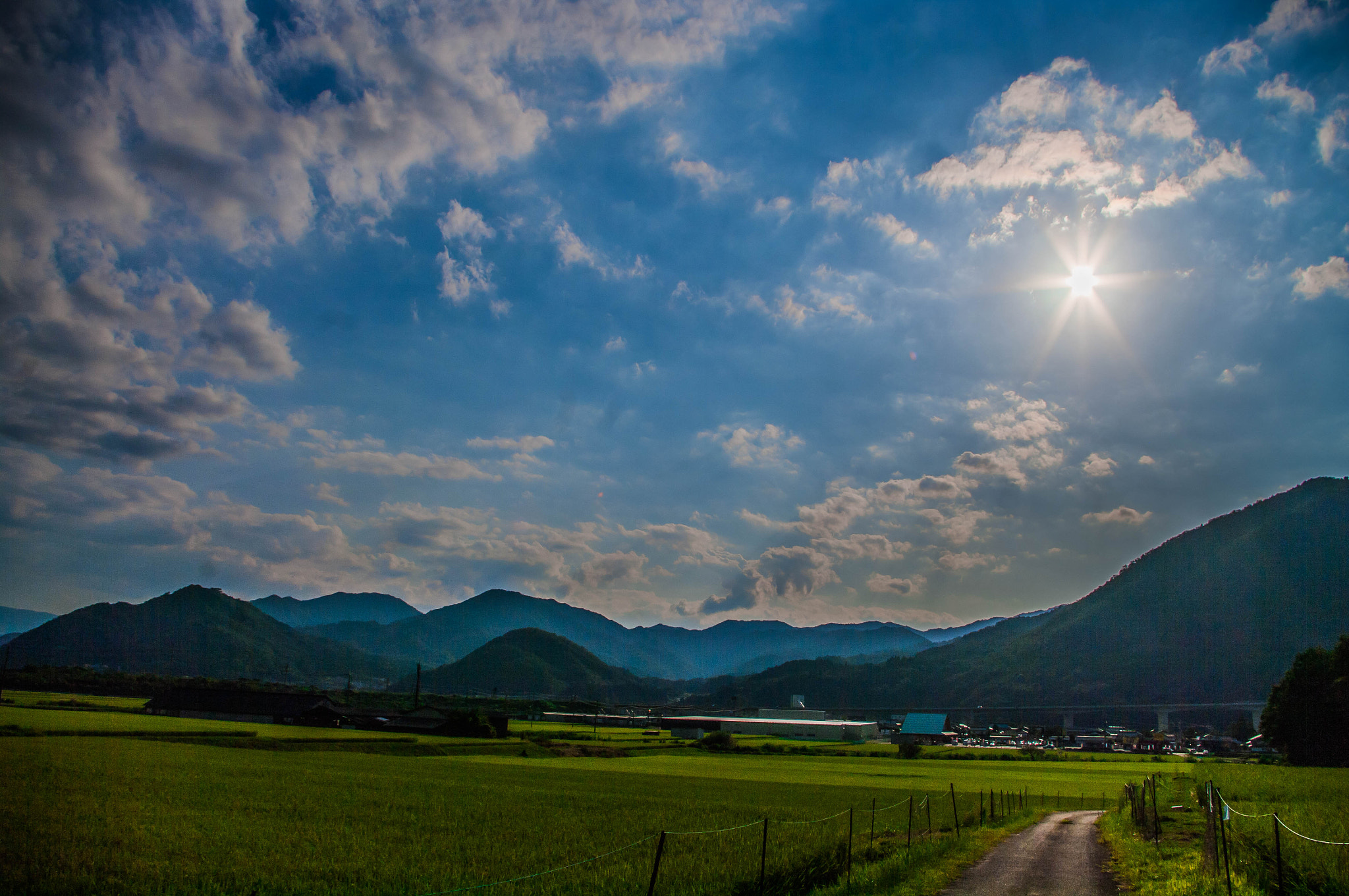 Pentax K20D sample photo