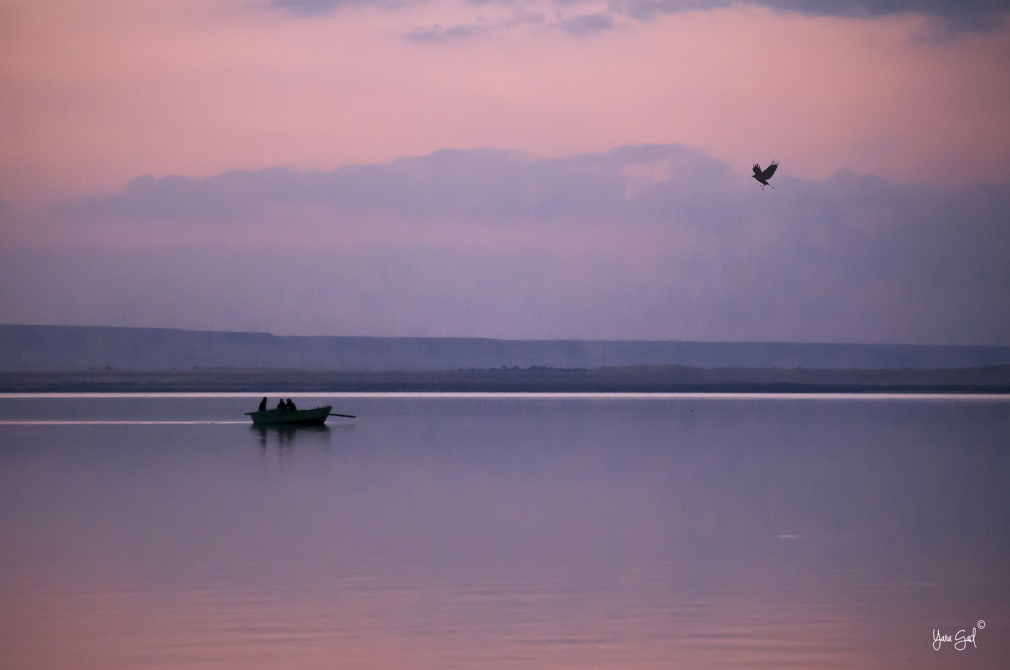 Nikon D300 sample photo. I'm coming home to your loving heart ! photography