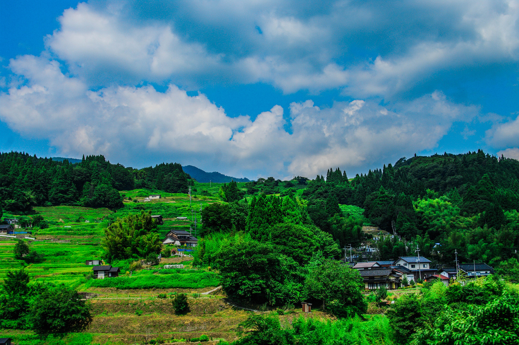 Pentax K20D sample photo