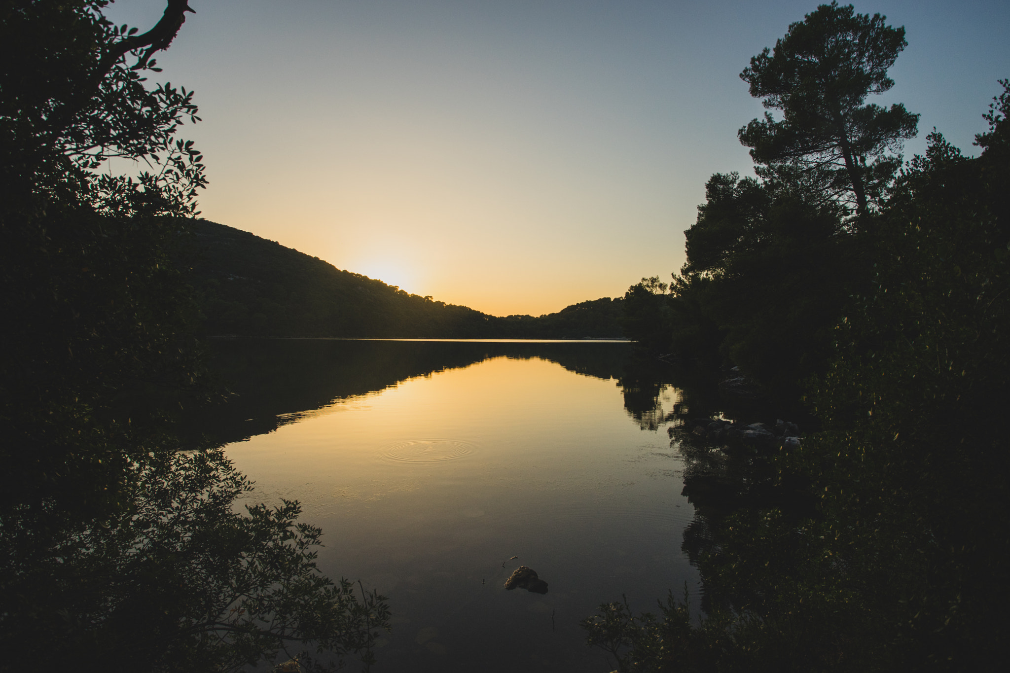 Sony a7 II + Canon EF 17-40mm F4L USM sample photo. Phototomrobertson photography