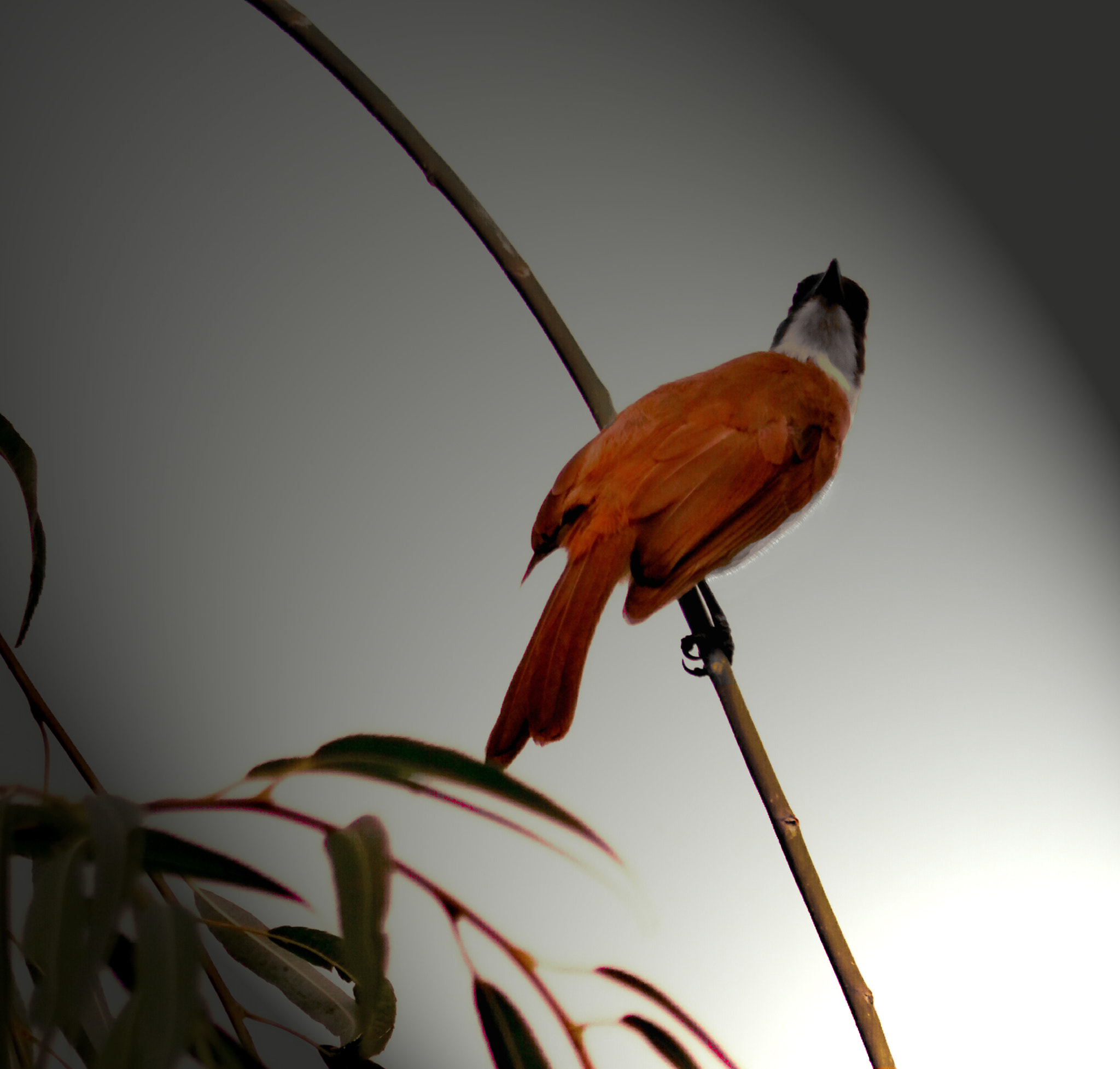 JK KODAK PIXPRO AZ651 sample photo. 夜惊 photography