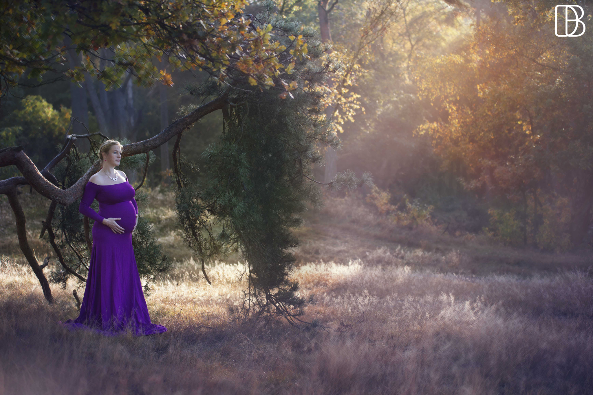 Sigma 70-200mm F2.8 EX DG OS HSM sample photo. Fall pregnancy photography
