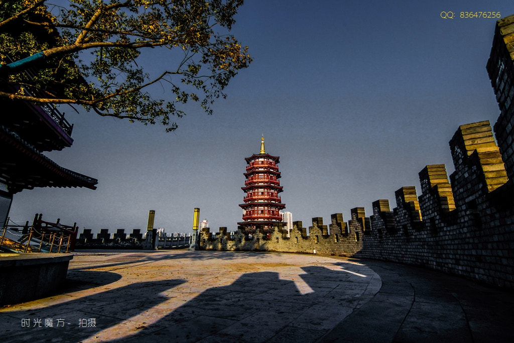 Sony SLT-A77 + 20mm F2.8 sample photo. 朱樱塔 photography