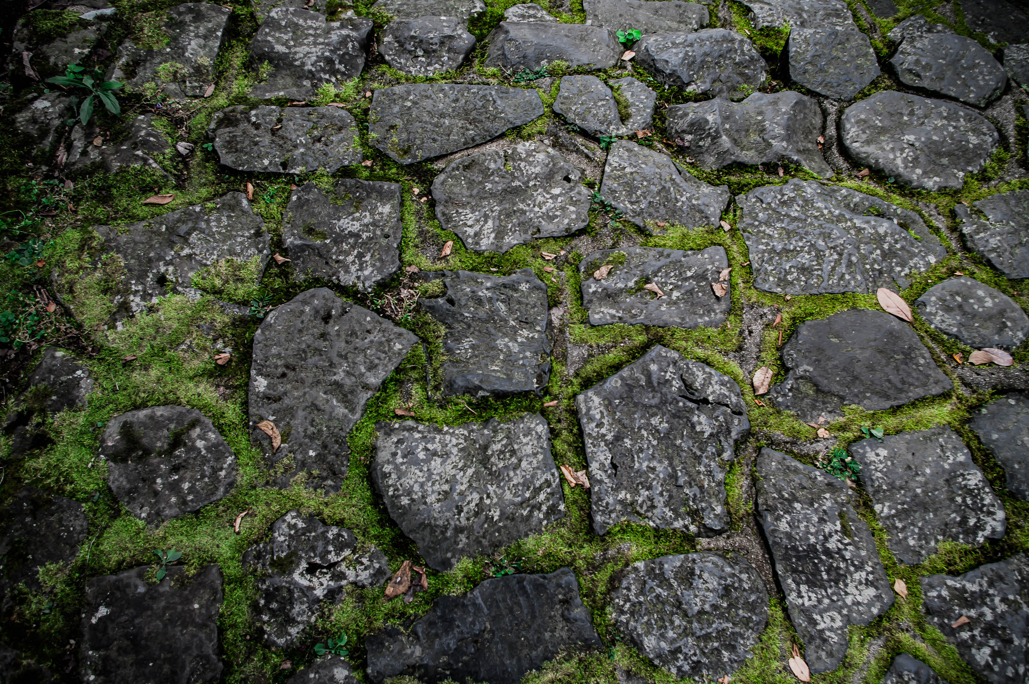 Pentax K20D sample photo. Stone pavement photography