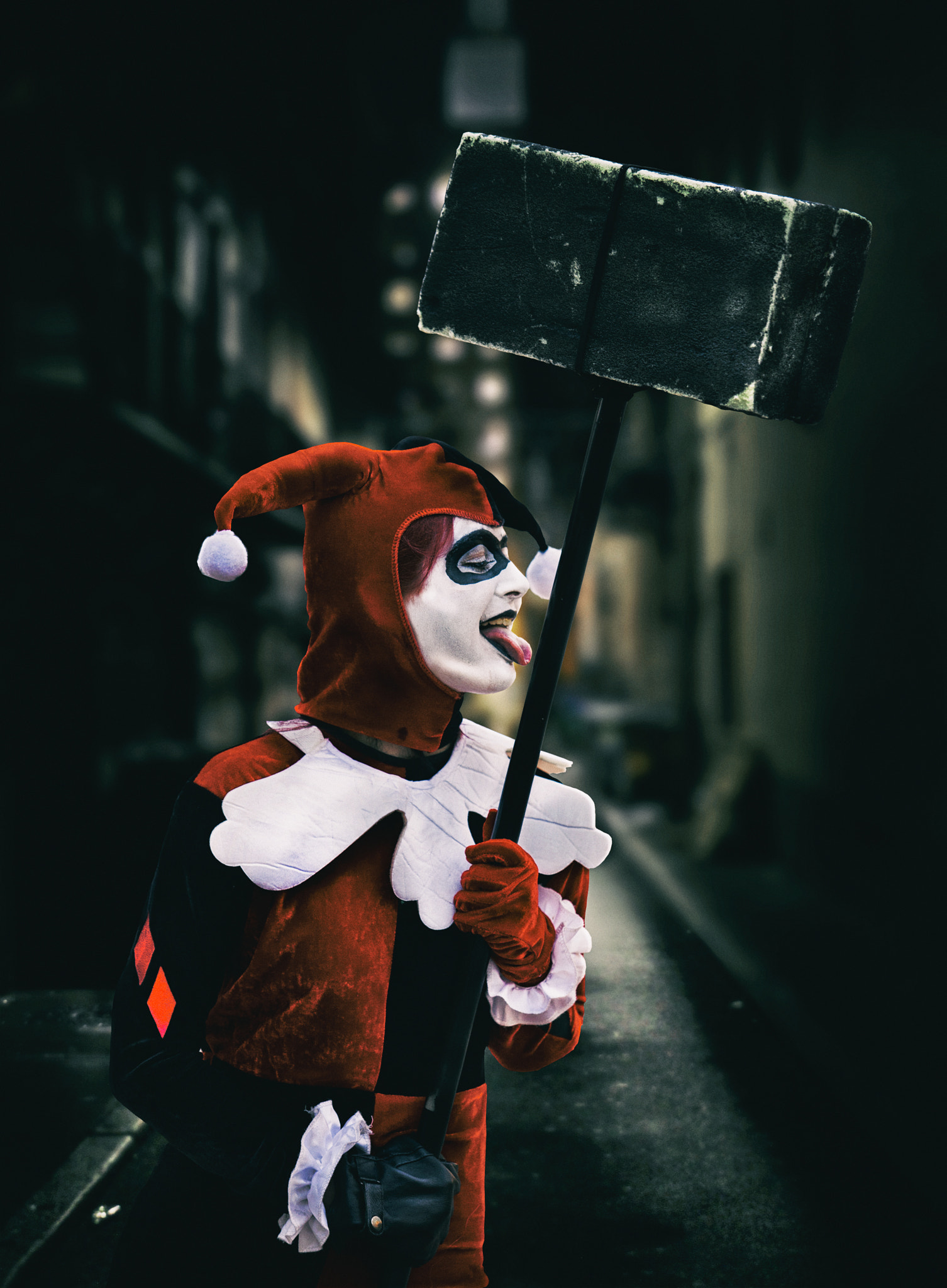 Canon EF 70-200mm F2.8L USM sample photo. Harley quinn photography