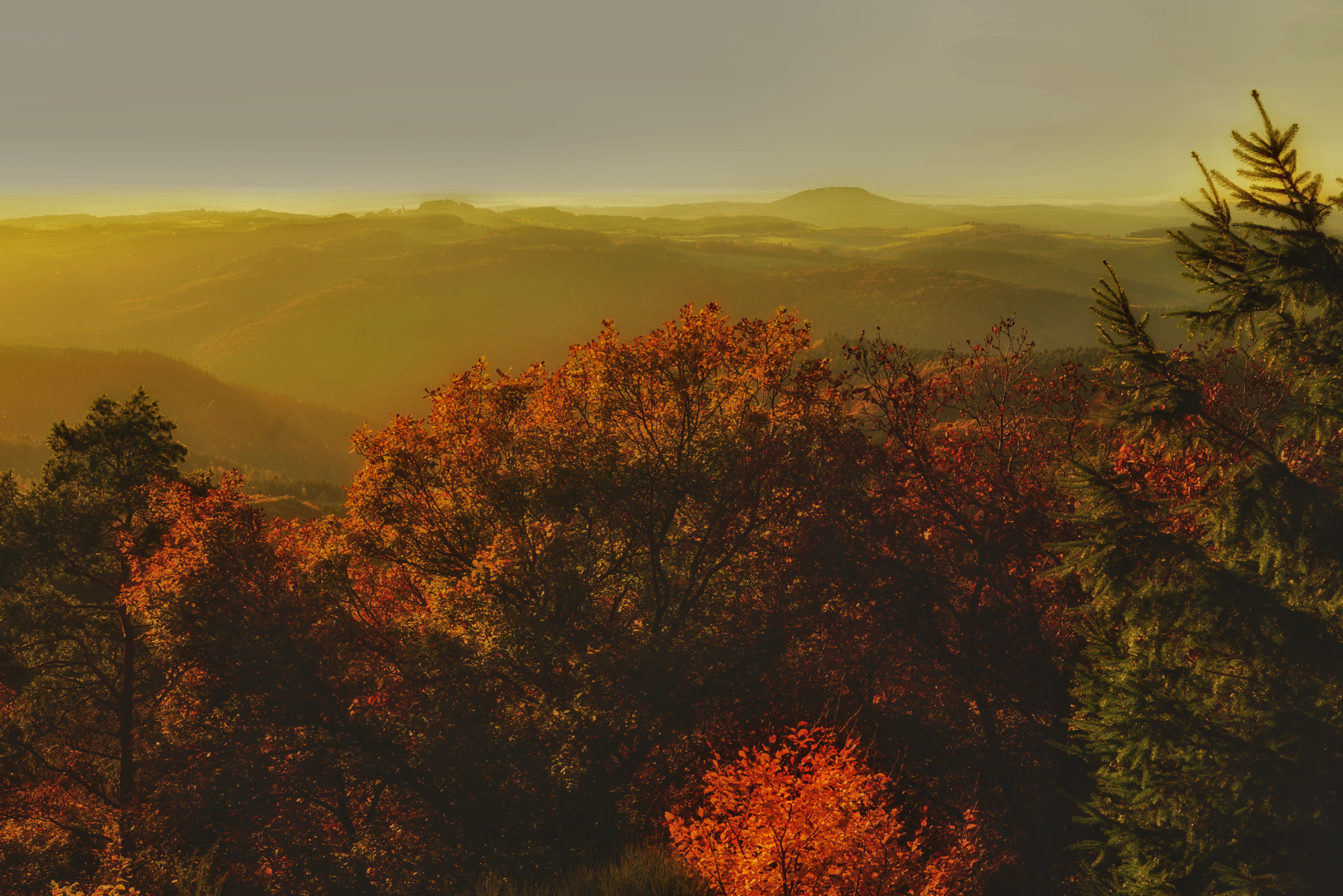 Sony a7R + Sony Vario Tessar T* FE 24-70mm F4 ZA OSS sample photo. Aussicht von der hohen warte photography