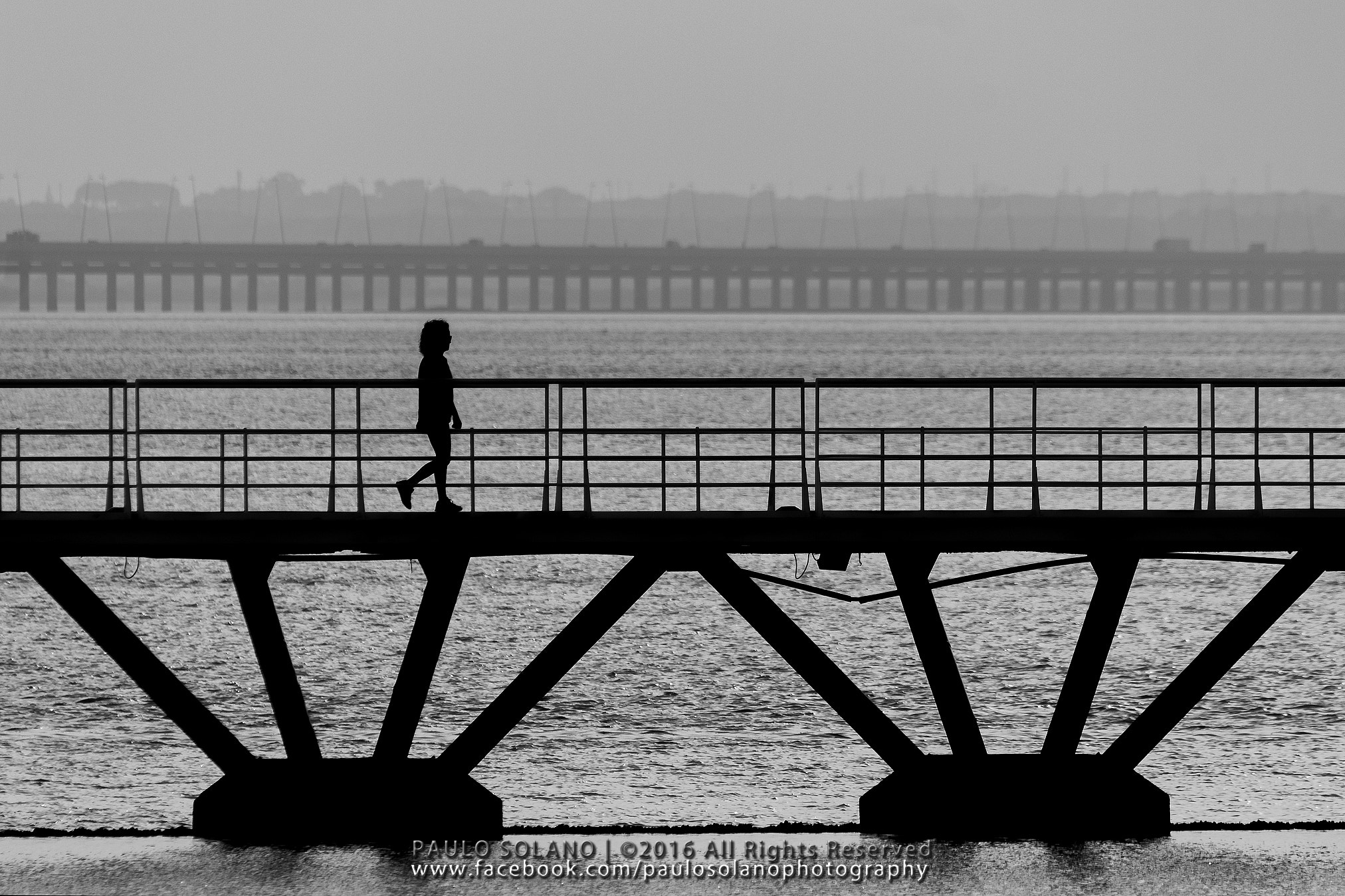 Sigma 150-500mm F5-6.3 DG OS HSM sample photo. Walking live photography