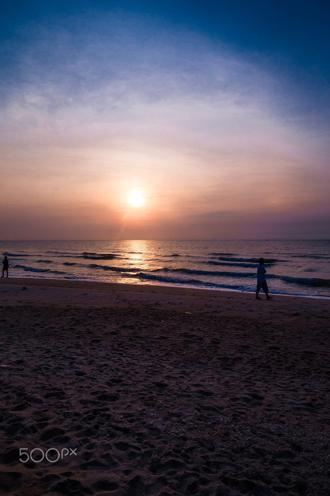 Canon EF 24mm F1.4L II USM sample photo. Morning walk photography