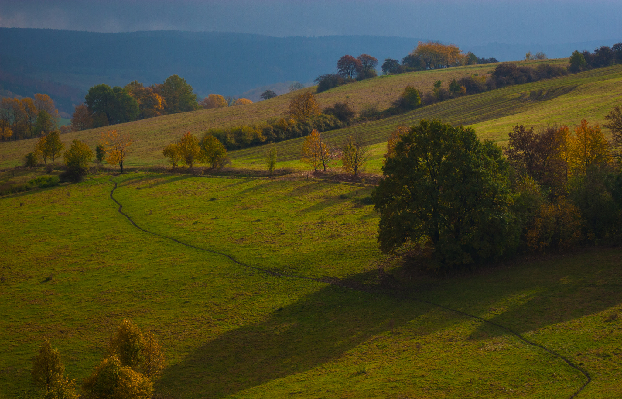 Canon EOS 30D + EF75-300mm f/4-5.6 sample photo. The awakening of the sun photography