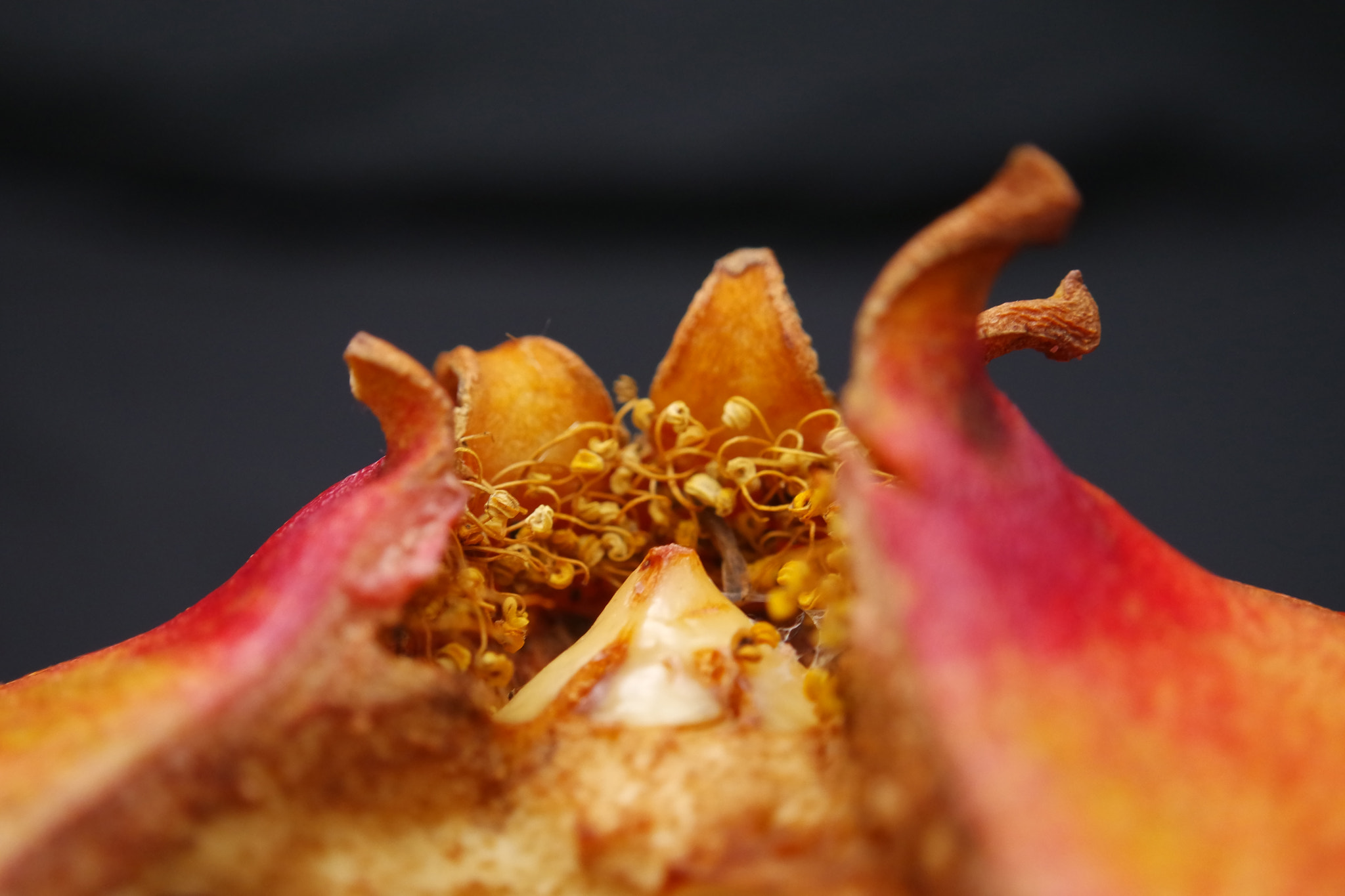 Samsung NX mini sample photo. Pomegranate photography