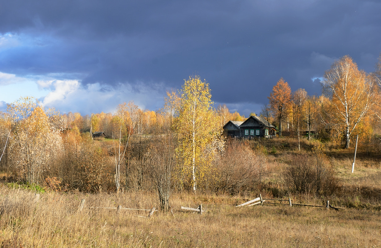 Nikon D60 sample photo. House in autumn. photography