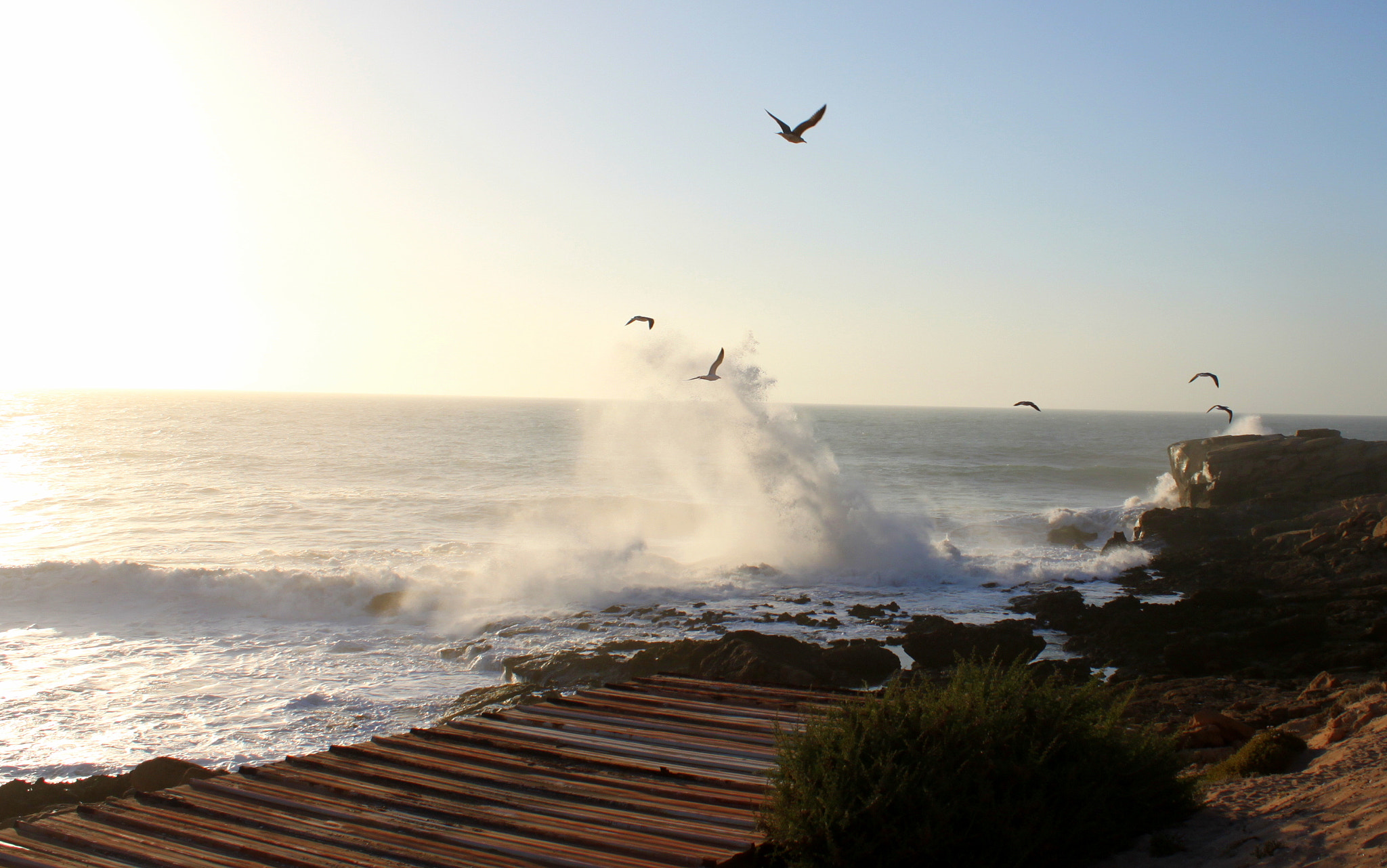 Canon EOS 500D (EOS Rebel T1i / EOS Kiss X3) sample photo. Sunset in imsouane photography