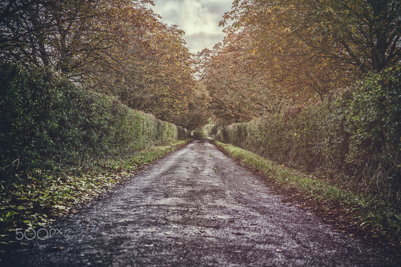 24-70mm F2.8 sample photo. English landscape photography