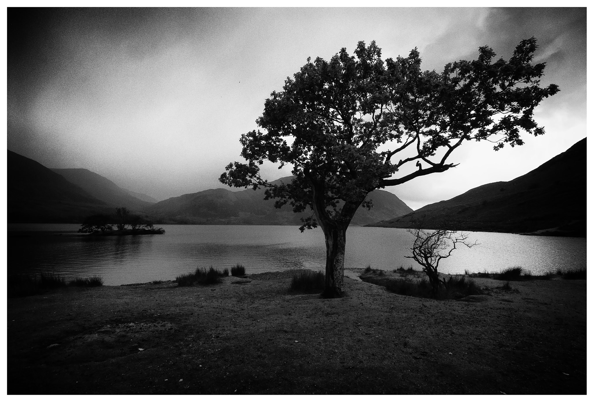 Nikon D200 + Sigma 10-20mm F3.5 EX DC HSM sample photo. Trees photography