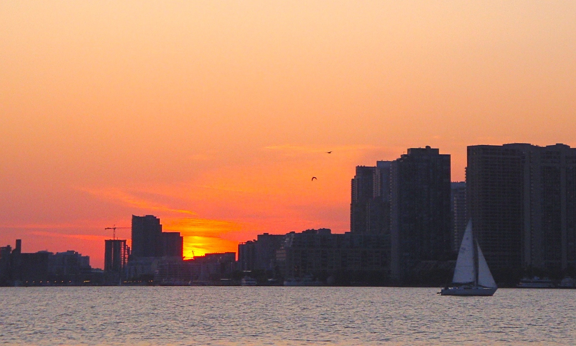 Sony Cyber-shot DSC-W150 sample photo. A summer evening sale in toronto harbour...... photography