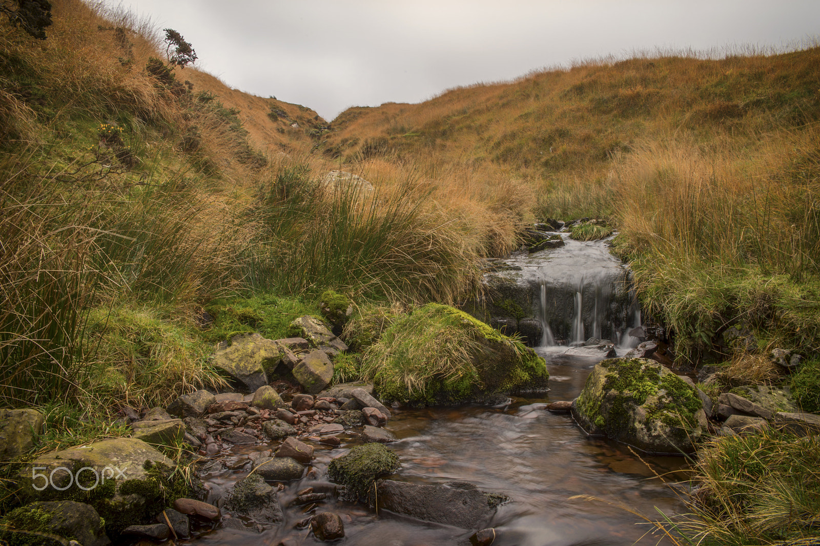 24-70mm F2.8 sample photo. Brecon beacon national park autumn photography