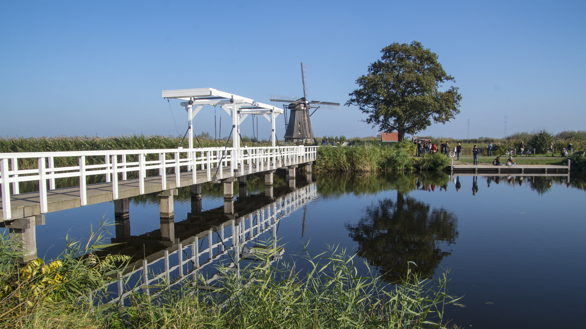 Sony SLT-A58 sample photo. 23102016 kinderdijk photography