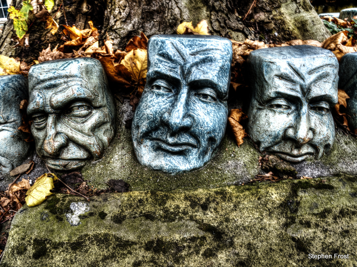 Olympus PEN E-PL5 sample photo. Stone faced : discovered these faces around a tree ... photography