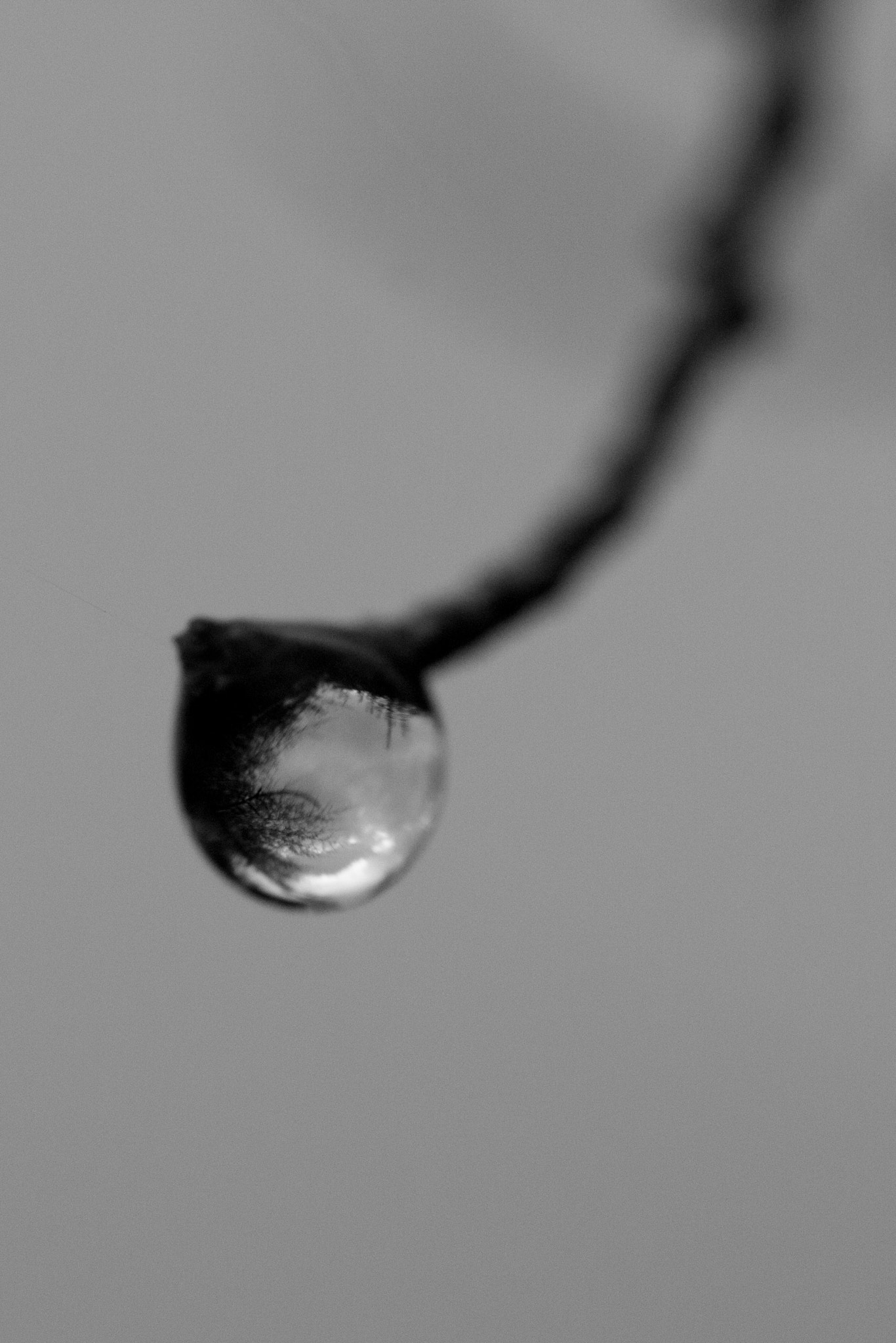 Canon EOS 700D (EOS Rebel T5i / EOS Kiss X7i) + Tamron SP AF 90mm F2.8 Di Macro sample photo. Drop photography