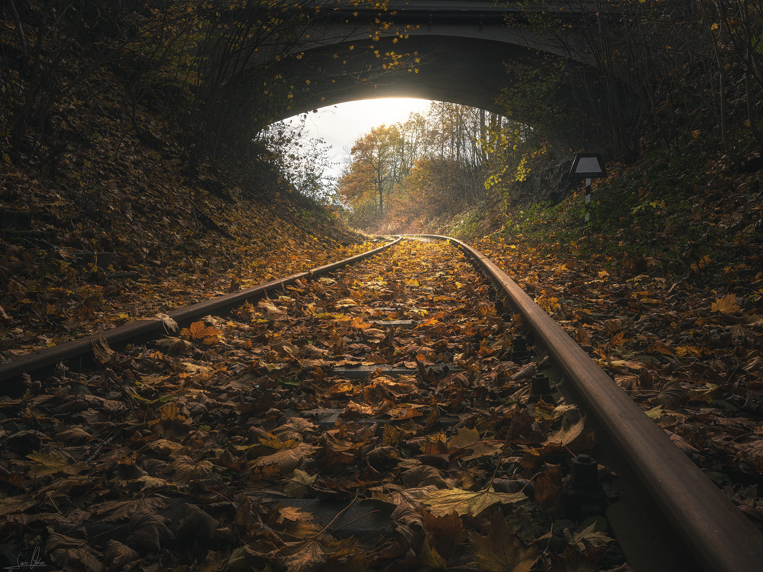 Nikon AF-S Nikkor 16-35mm F4G ED VR sample photo. Autumn rails photography