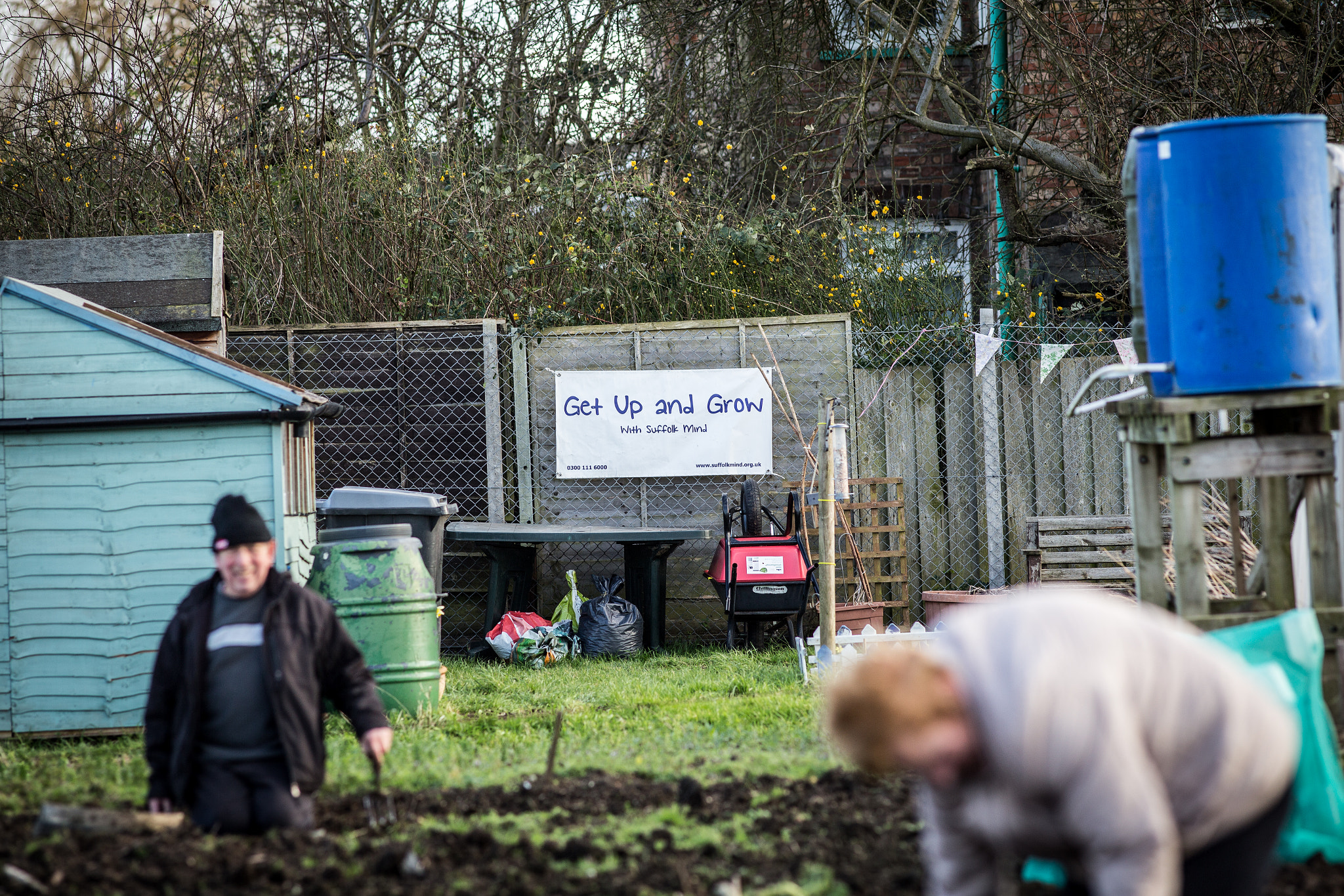Canon EOS 6D + Canon EF 200mm F2.8L II USM sample photo. Newmarket allotments photography