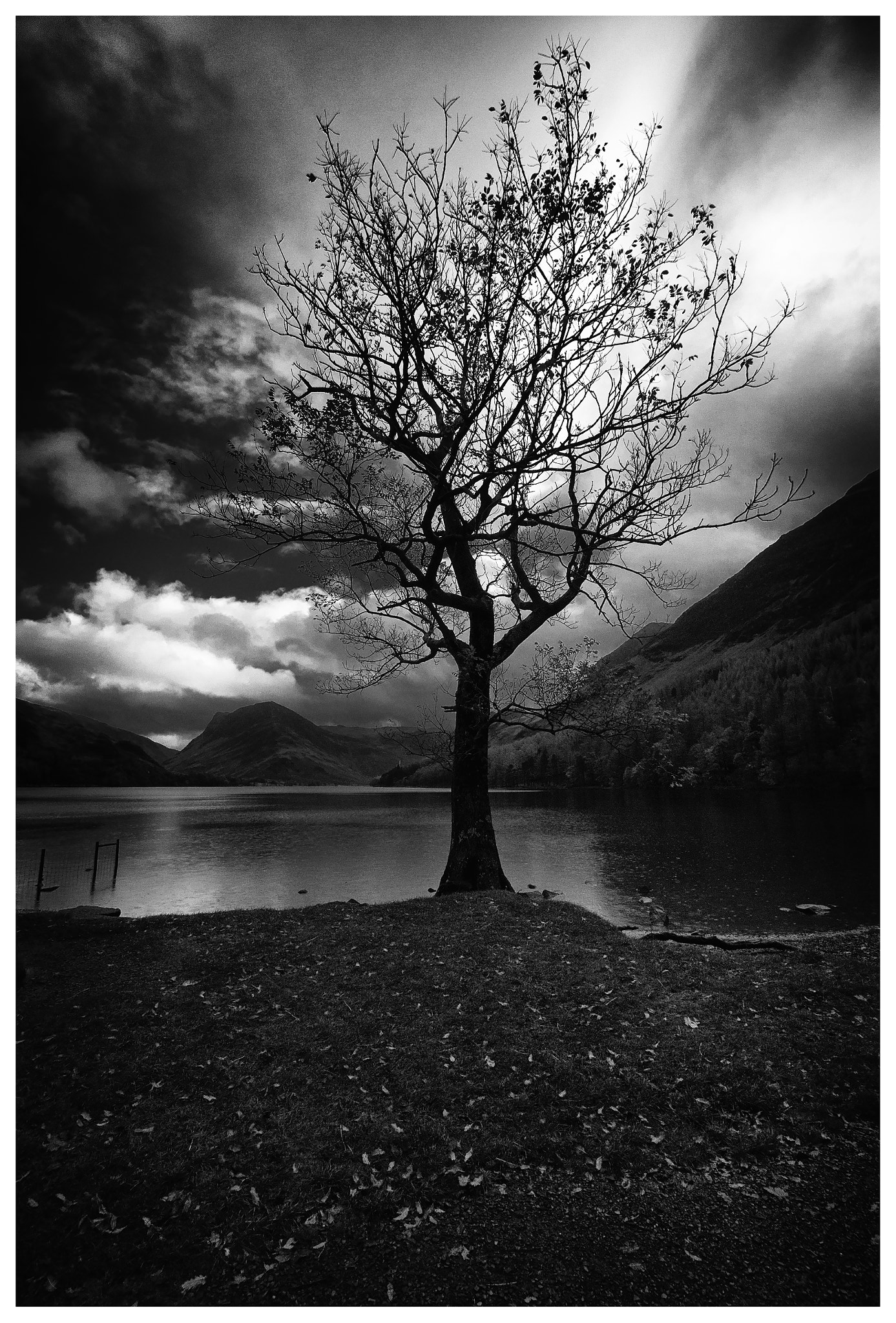 Nikon D200 sample photo. Buttermere photography