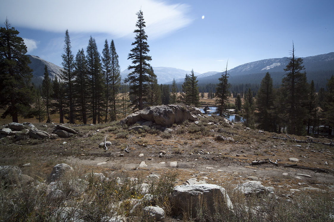 Canon EOS 5D Mark II + ZEISS Distagon T* 21mm F2.8 sample photo. Yosemite photography