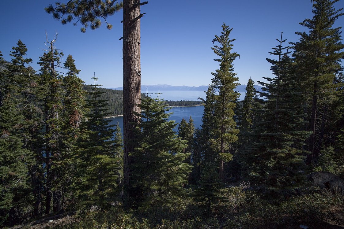 Canon EOS 5D Mark II + ZEISS Distagon T* 21mm F2.8 sample photo. Lake tahoe photography