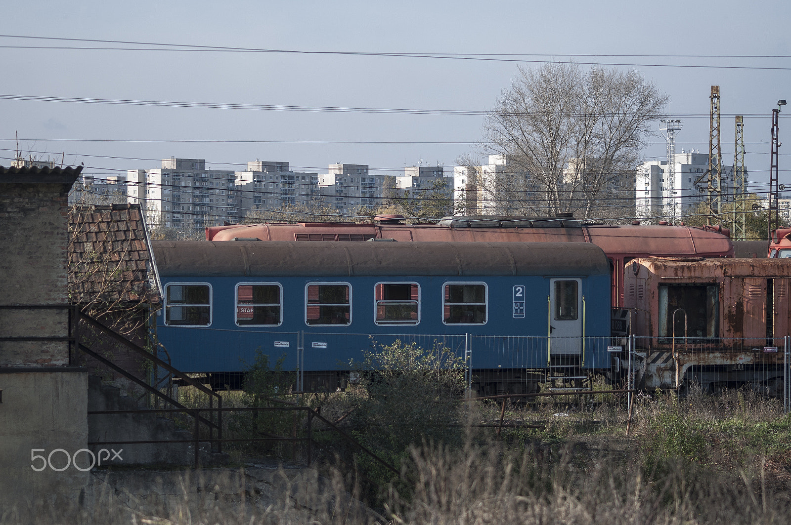 Sigma 70-300mm F4-5.6 APO DG Macro sample photo. Debrecen-hungary photography
