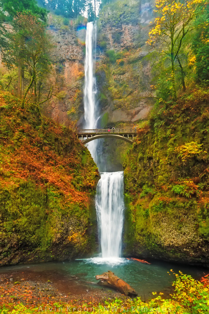 Iconic Multnomah Falls, Columbia River Gorge, Oregon, USA by Alvin ...