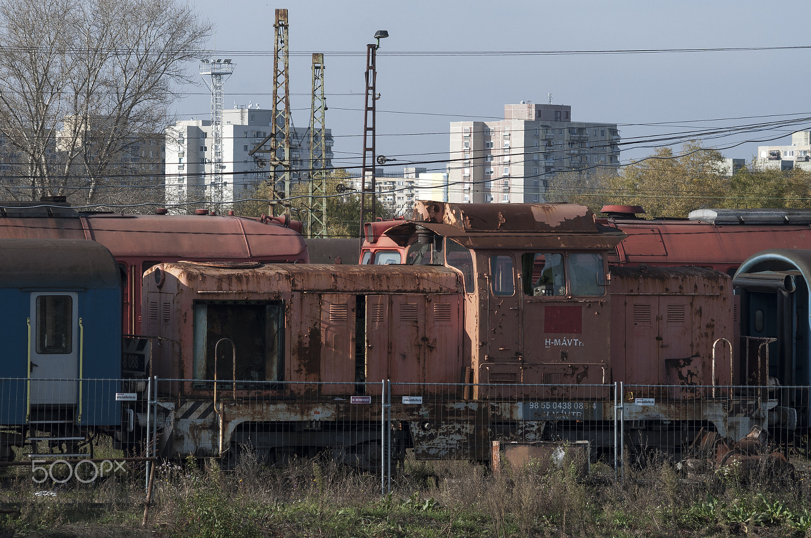 Sigma 70-300mm F4-5.6 APO DG Macro sample photo. Debrecen-hungary photography