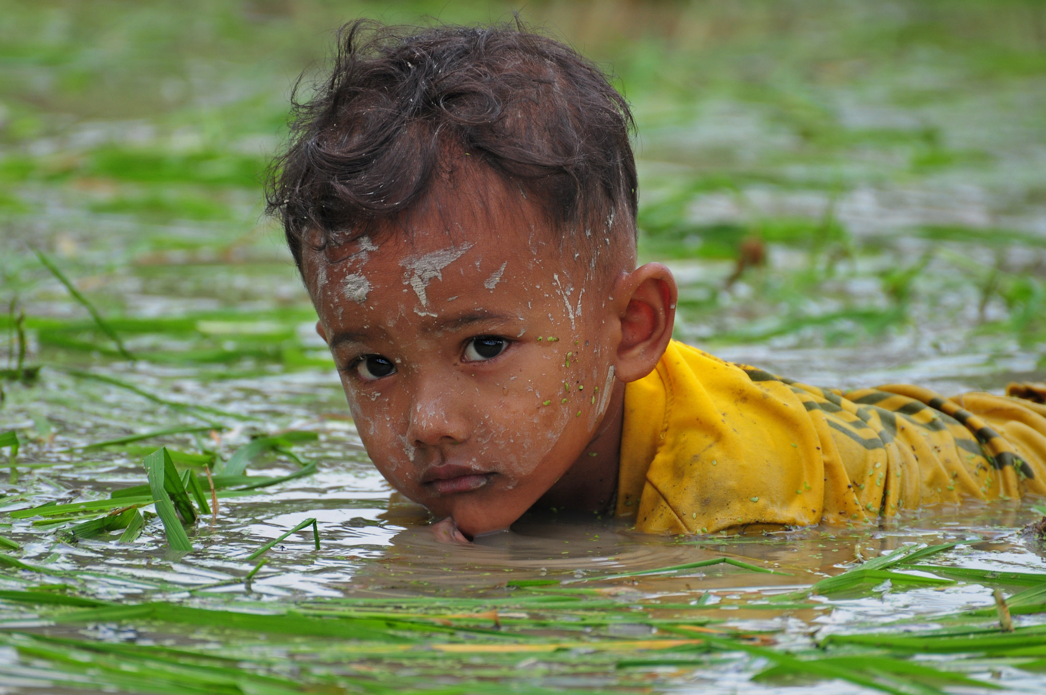 Nikon D5000 sample photo. Simple life photography