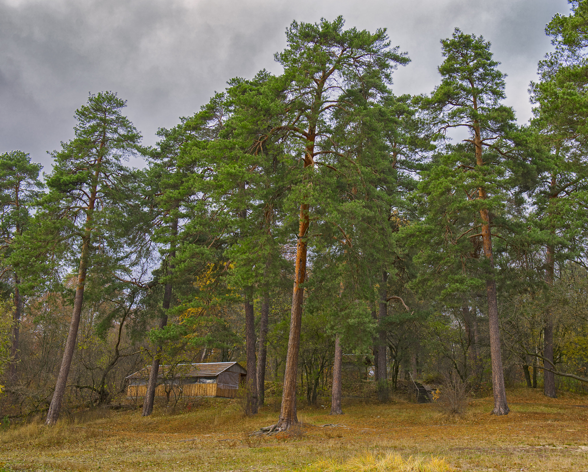 Nikon D800E + 24-70mm F/2.8 G sample photo. Hut photography